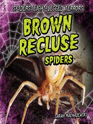cover image of Brown Recluse Spiders